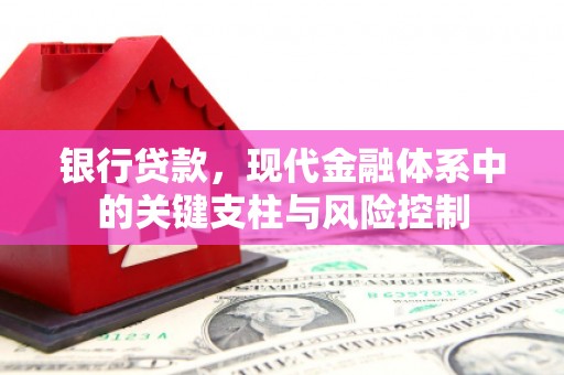 九龙城银行贷款，现代金融体系中的关键支柱与风险控制