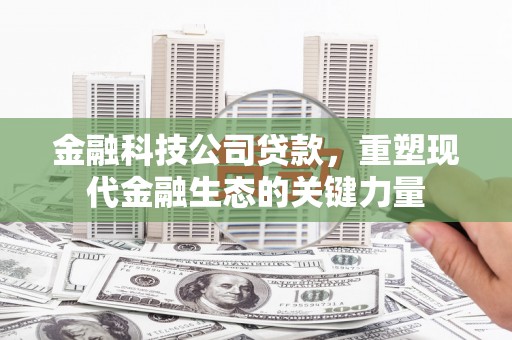 九龙城金融科技公司贷款，重塑现代金融生态的关键力量
