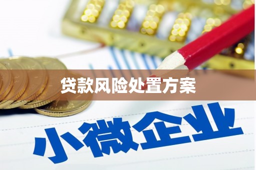 九龙城贷款风险处置方案