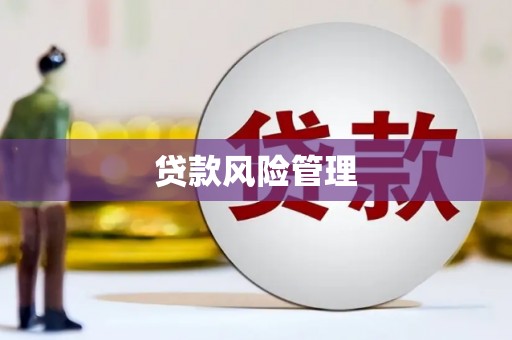 九龙城贷款风险管理