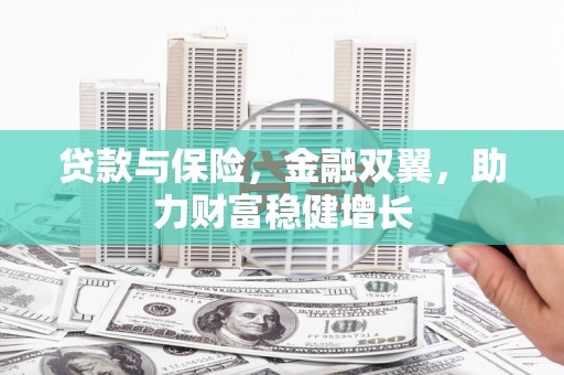 九龙城贷款与保险，金融双翼，助力财富稳健增长