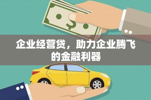 九龙城企业经营贷，助力企业腾飞的金融利器