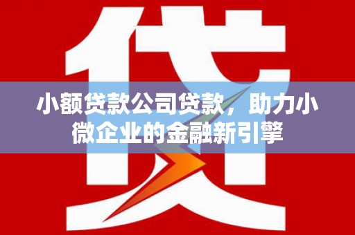 九龙城小额贷款公司贷款，助力小微企业的金融新引擎