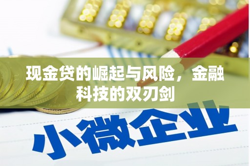 九龙城现金贷的崛起与风险，金融科技的双刃剑
