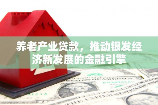 九龙城养老产业贷款，推动银发经济新发展的金融引擎