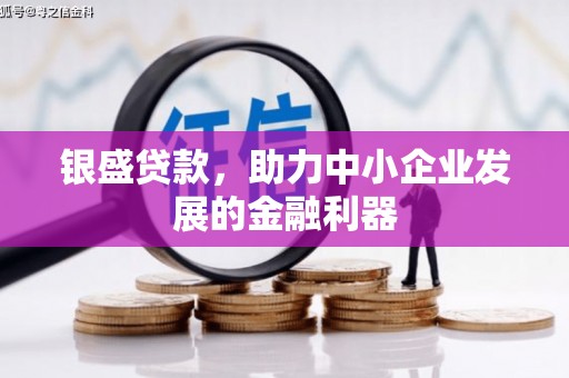九龙城银盛贷款，助力中小企业发展的金融利器