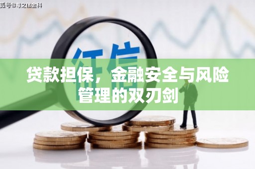 九龙城贷款担保，金融安全与风险管理的双刃剑
