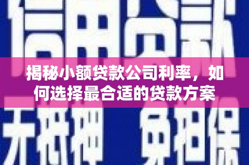 九龙城揭秘小额贷款公司利率，如何选择最合适的贷款方案