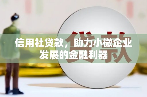 九龙城信用社贷款，助力小微企业发展的金融利器