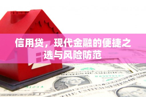 九龙城信用贷，现代金融的便捷之选与风险防范