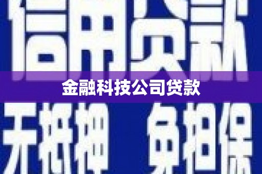 九龙城金融科技公司贷款