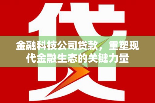 九龙城金融科技公司贷款，重塑现代金融生态的关键力量