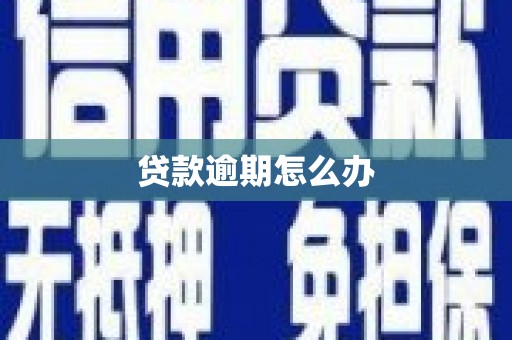 九龙城贷款逾期怎么办