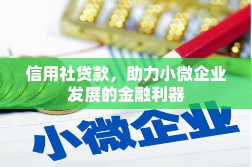 九龙城信用社贷款，助力小微企业发展的金融利器