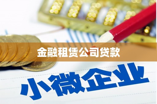 九龙城金融租赁公司贷款