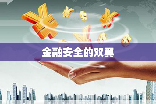 九龙城金融安全的双翼