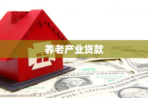 九龙城养老产业贷款