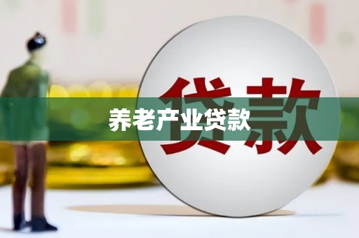 九龙城养老产业贷款