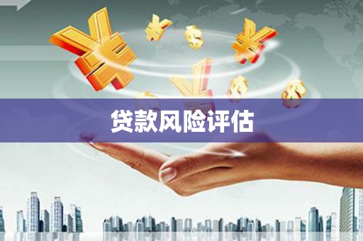 九龙城贷款风险评估
