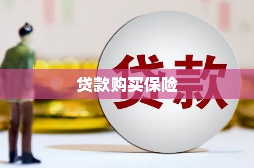 九龙城贷款购买保险