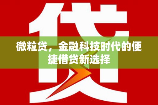 九龙城微粒贷，金融科技时代的便捷借贷新选择