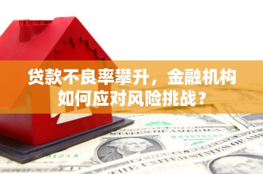 九龙城贷款不良率攀升，金融机构如何应对风险挑战？