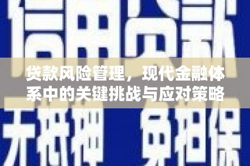 九龙城贷款风险管理，现代金融体系中的关键挑战与应对策略