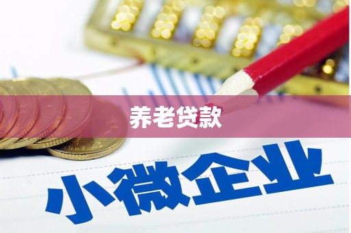 九龙城养老贷款