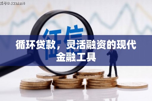 九龙城循环贷款，灵活融资的现代金融工具
