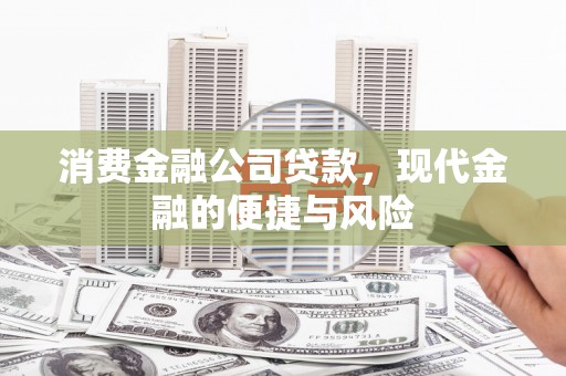 九龙城消费金融公司贷款，现代金融的便捷与风险