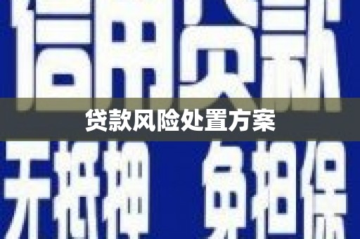 九龙城贷款风险处置方案