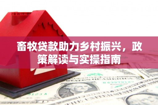 九龙城畜牧贷款助力乡村振兴，政策解读与实操指南