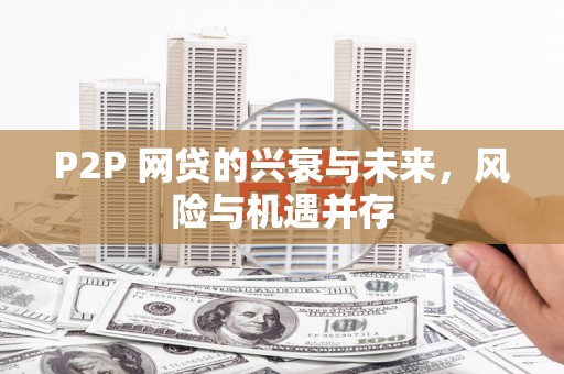 九龙城P2P 网贷的兴衰与未来，风险与机遇并存