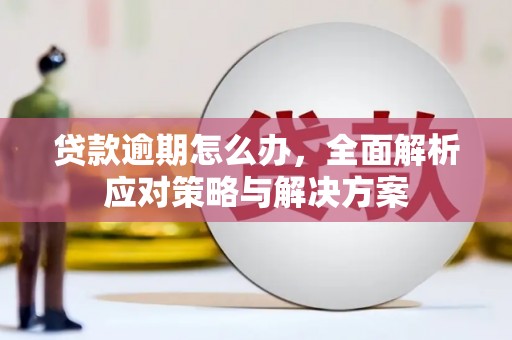 九龙城贷款逾期怎么办，全面解析应对策略与解决方案