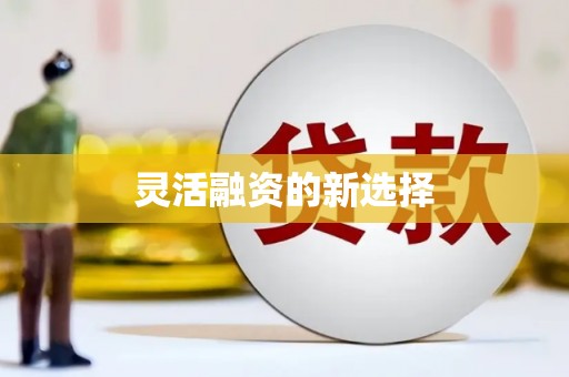 九龙城灵活融资的新选择