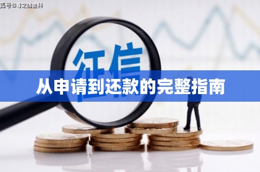 九龙城从申请到还款的完整指南