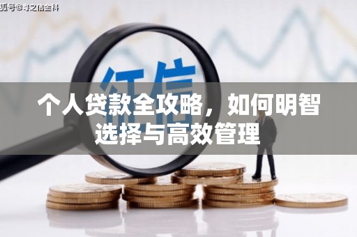九龙城个人贷款全攻略，如何明智选择与高效管理