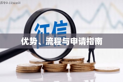 九龙城优势、流程与申请指南