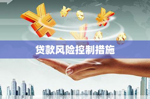 九龙城贷款风险控制措施
