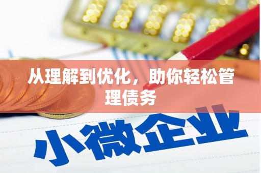九龙城从理解到优化，助你轻松管理债务