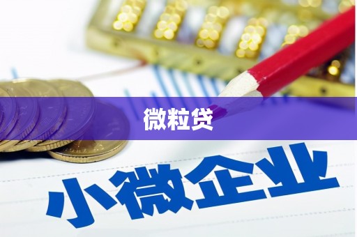 九龙城微粒贷