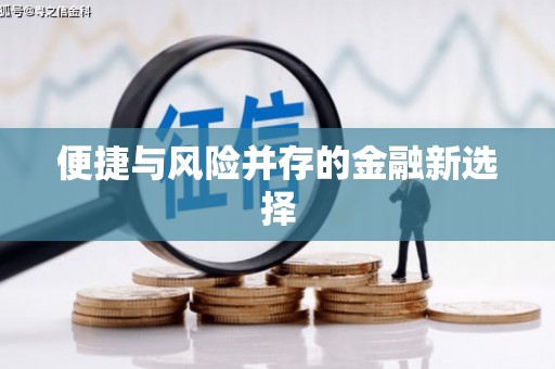九龙城便捷与风险并存的金融新选择