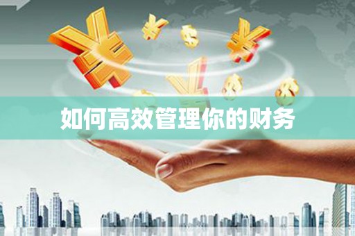 九龙城如何高效管理你的财务