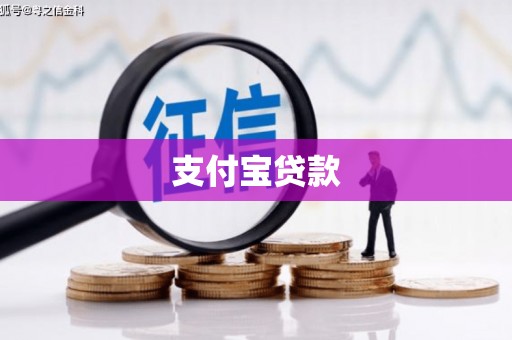 九龙城支付宝贷款