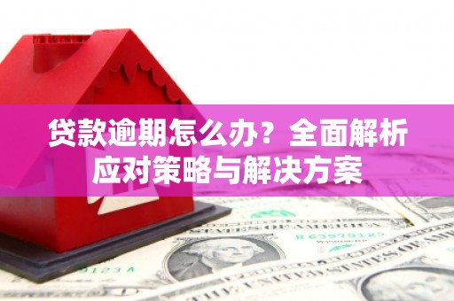 九龙城贷款逾期怎么办？全面解析应对策略与解决方案
