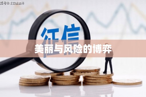九龙城美丽与风险的博弈