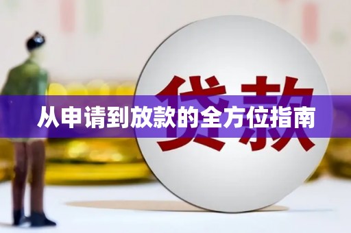 九龙城从申请到放款的全方位指南