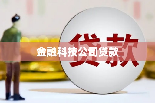 九龙城金融科技公司贷款
