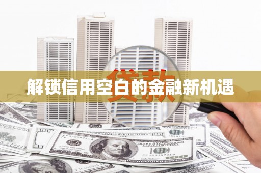 九龙城解锁信用空白的金融新机遇