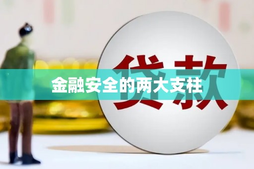 九龙城金融安全的两大支柱